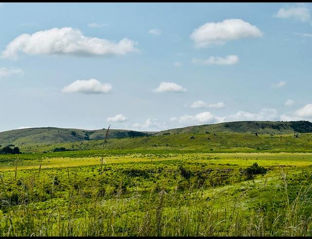 830HA FARM FOR SALE IN DARGLE